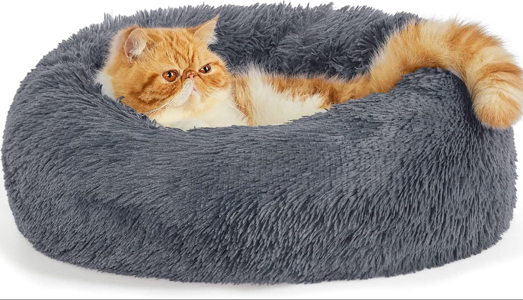 Cloud Cushion Nest