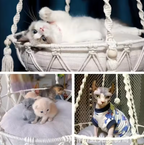 Woven Hanging Cat Lounge