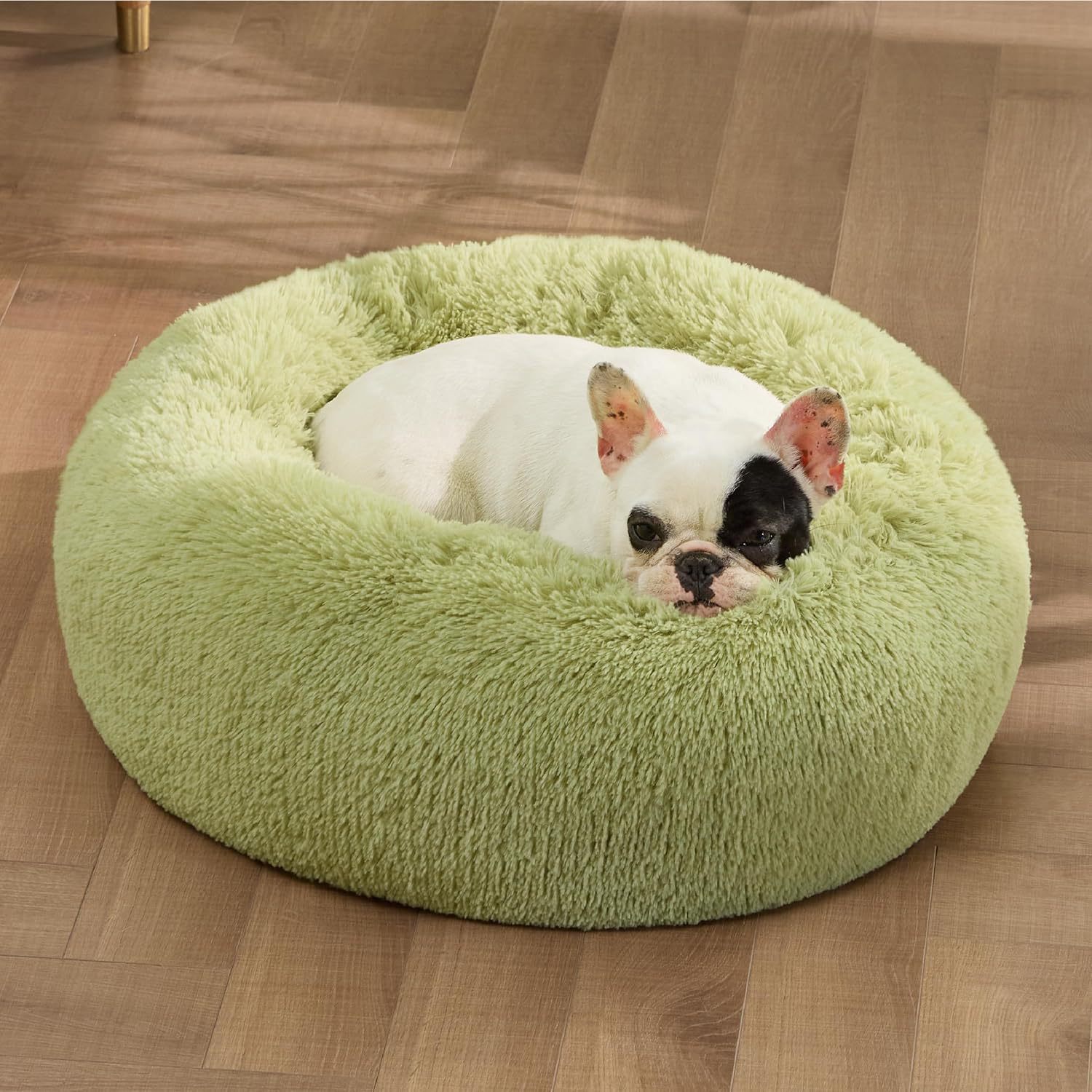 Cloud Cushion Nest