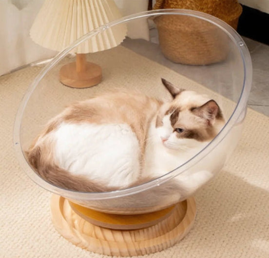 CrystalDen Elevated Feline Observatory