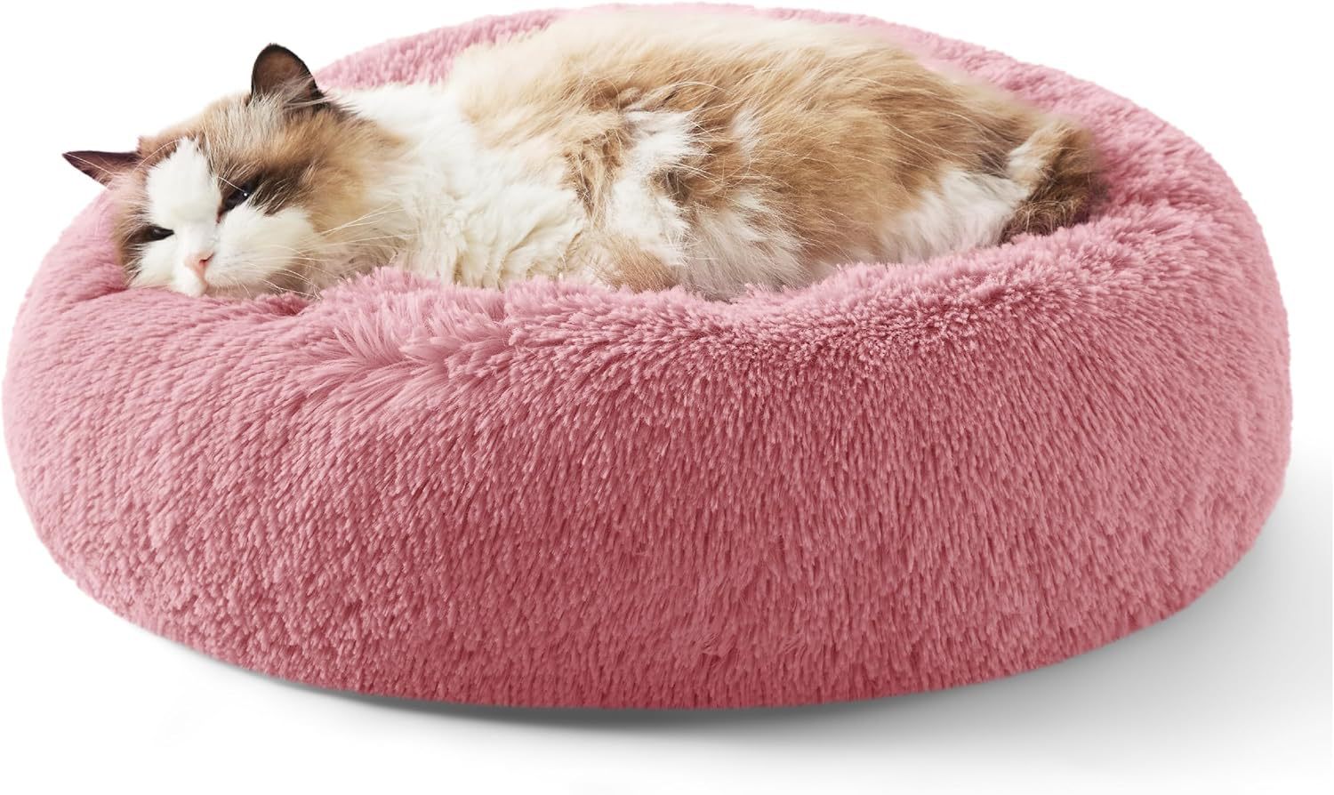 Cloud Cushion Nest