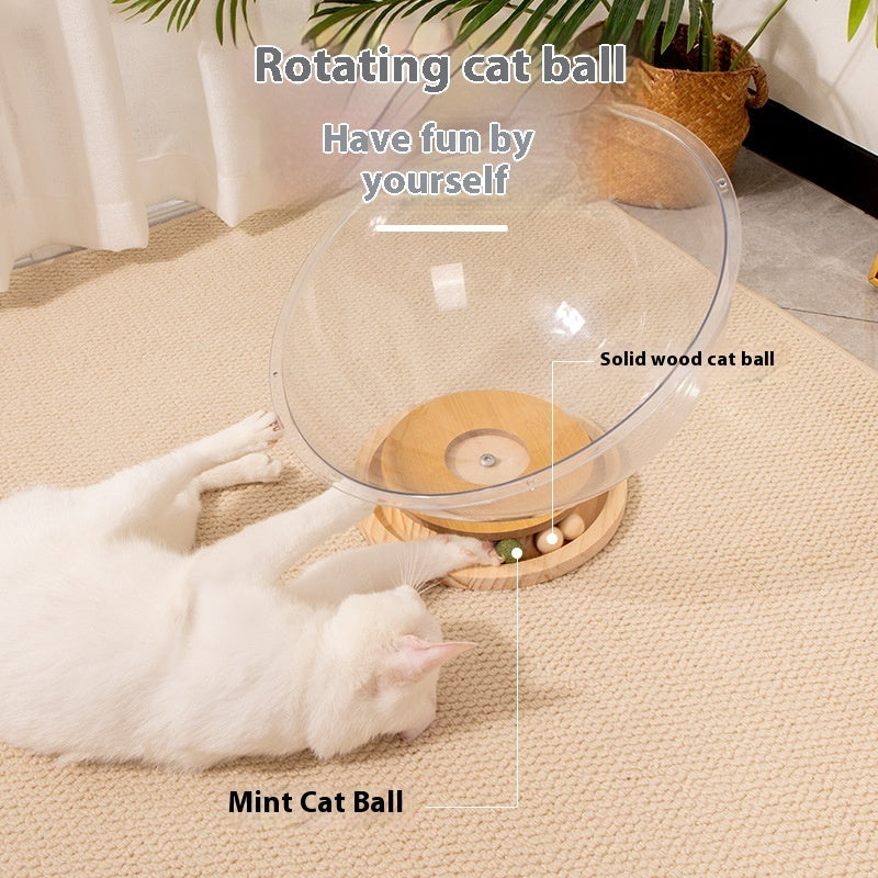 CrystalDen Elevated Feline Observatory