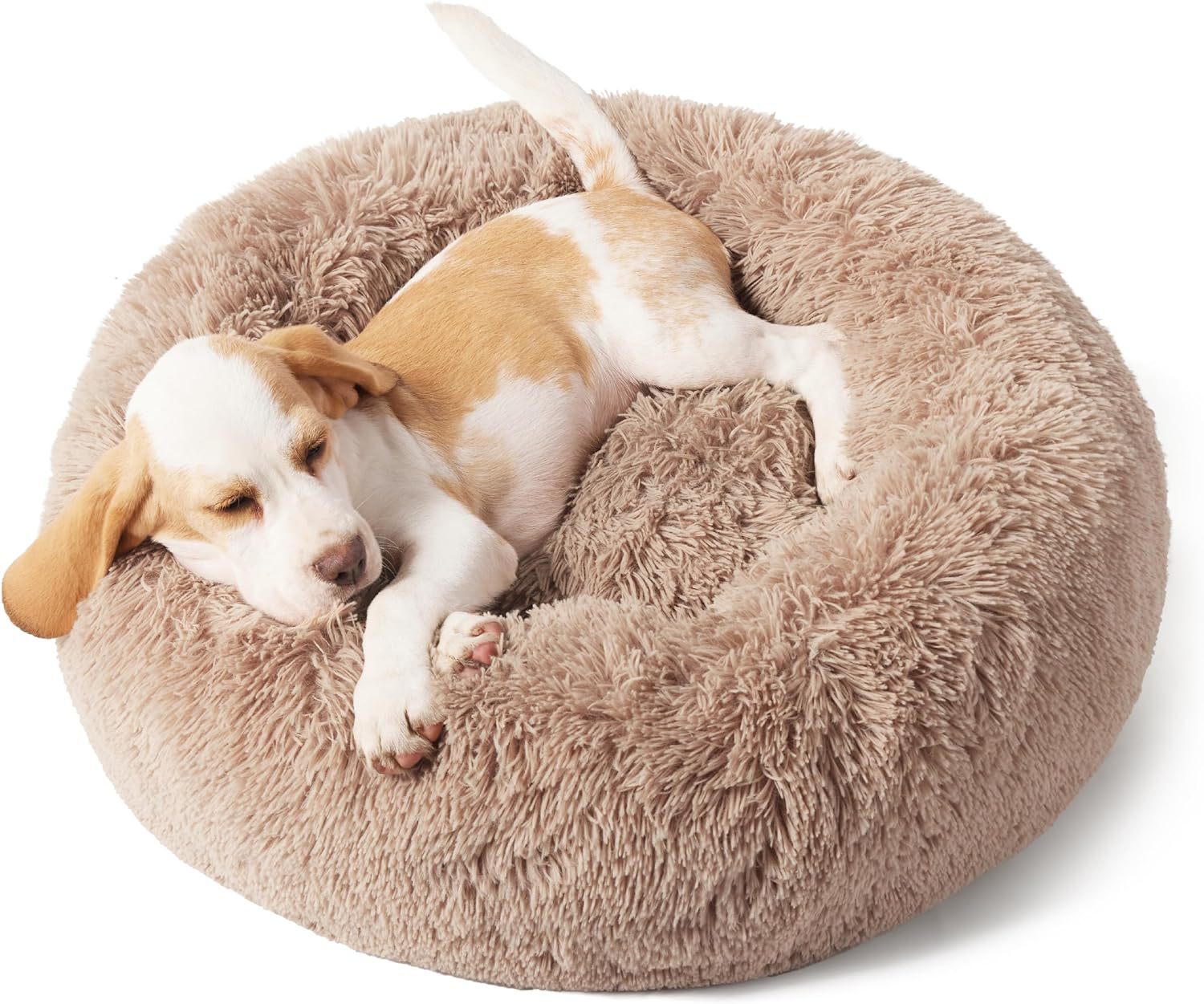 Cloud Cushion Nest