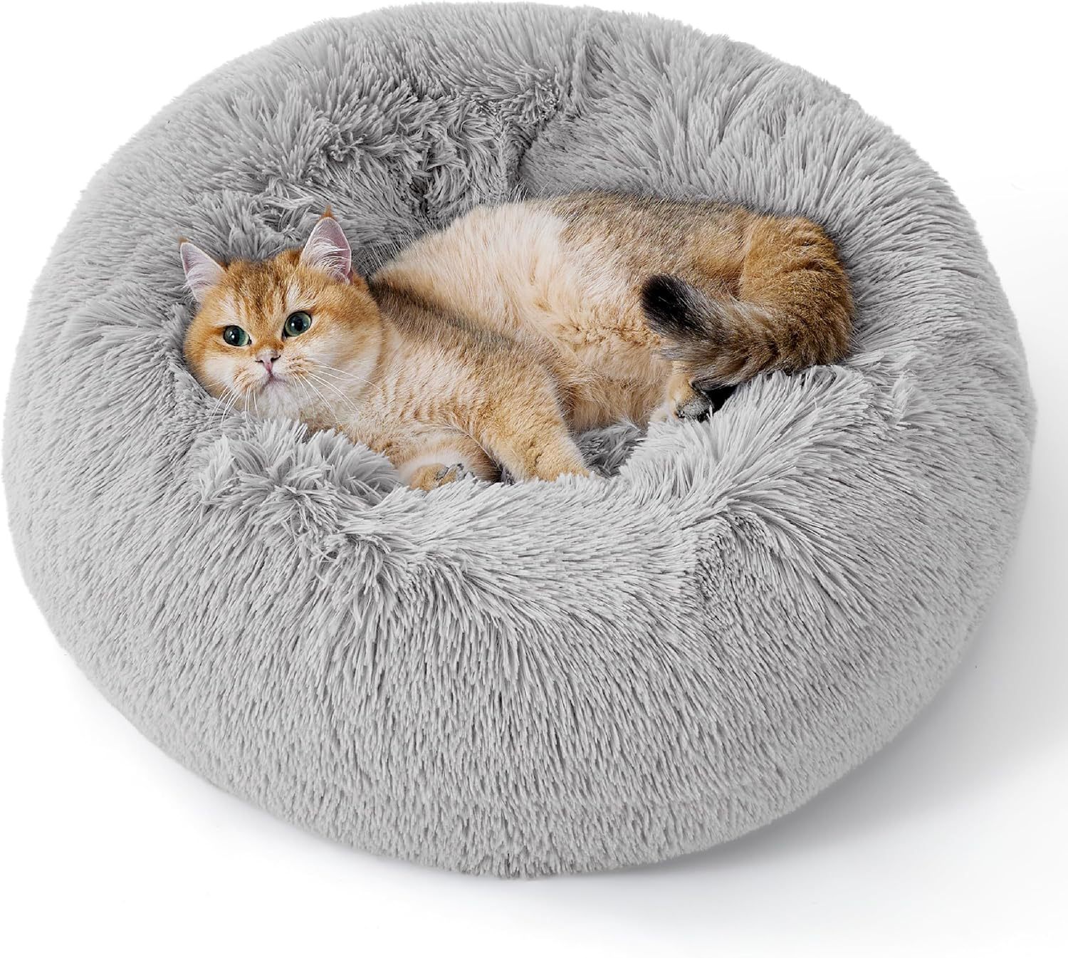 Cloud Cushion Nest