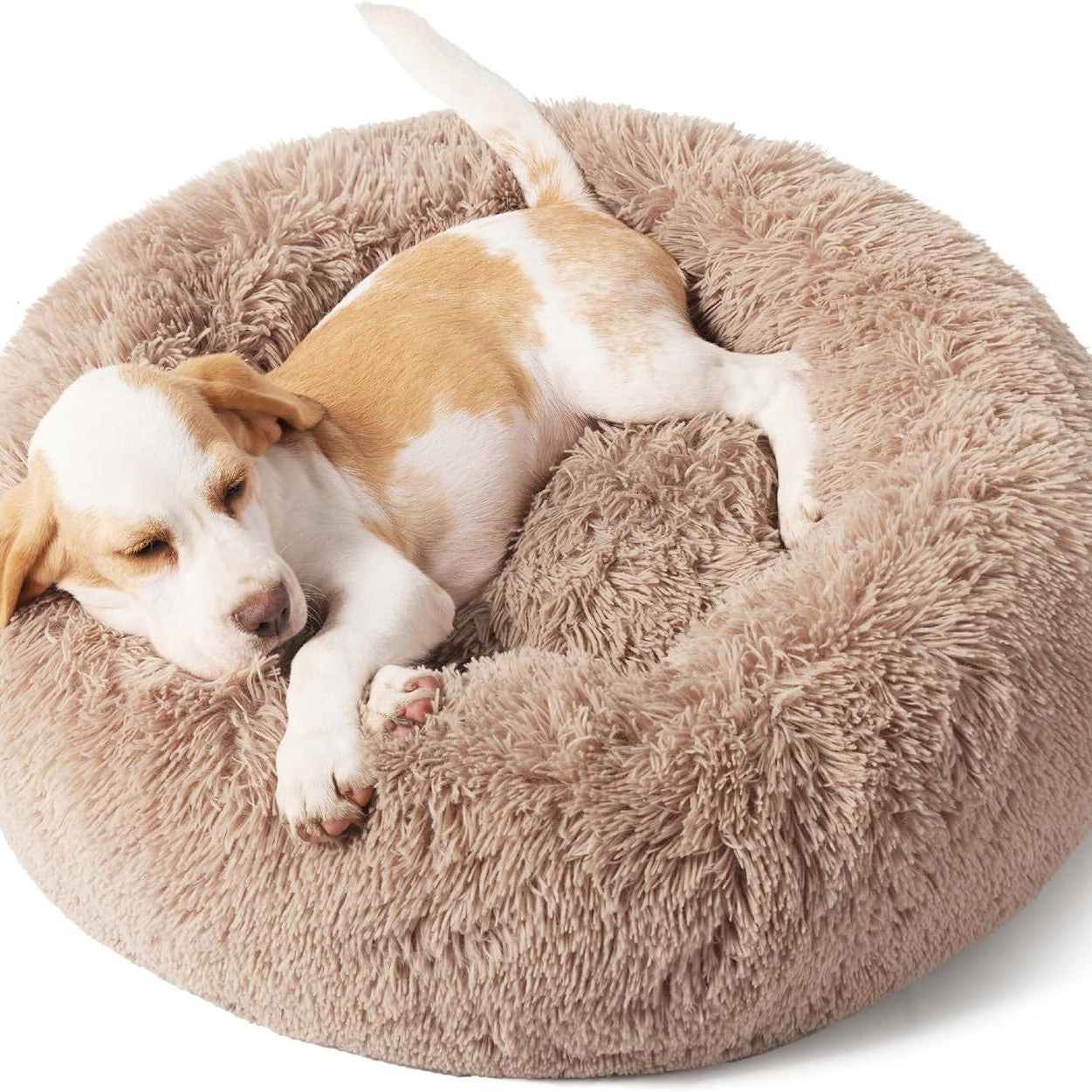Cloud Cushion Nest
